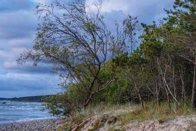 乒超联赛火热开战 多位国手同台竞技，乒超联赛赛程