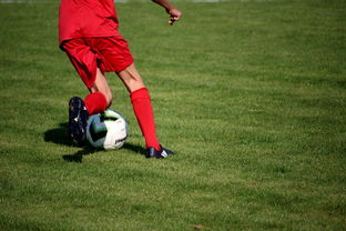 乐鱼电竞在线平台登录入口-意甲裁判语义分析系统在比赛判罚中的应用研究，意甲第三轮裁判