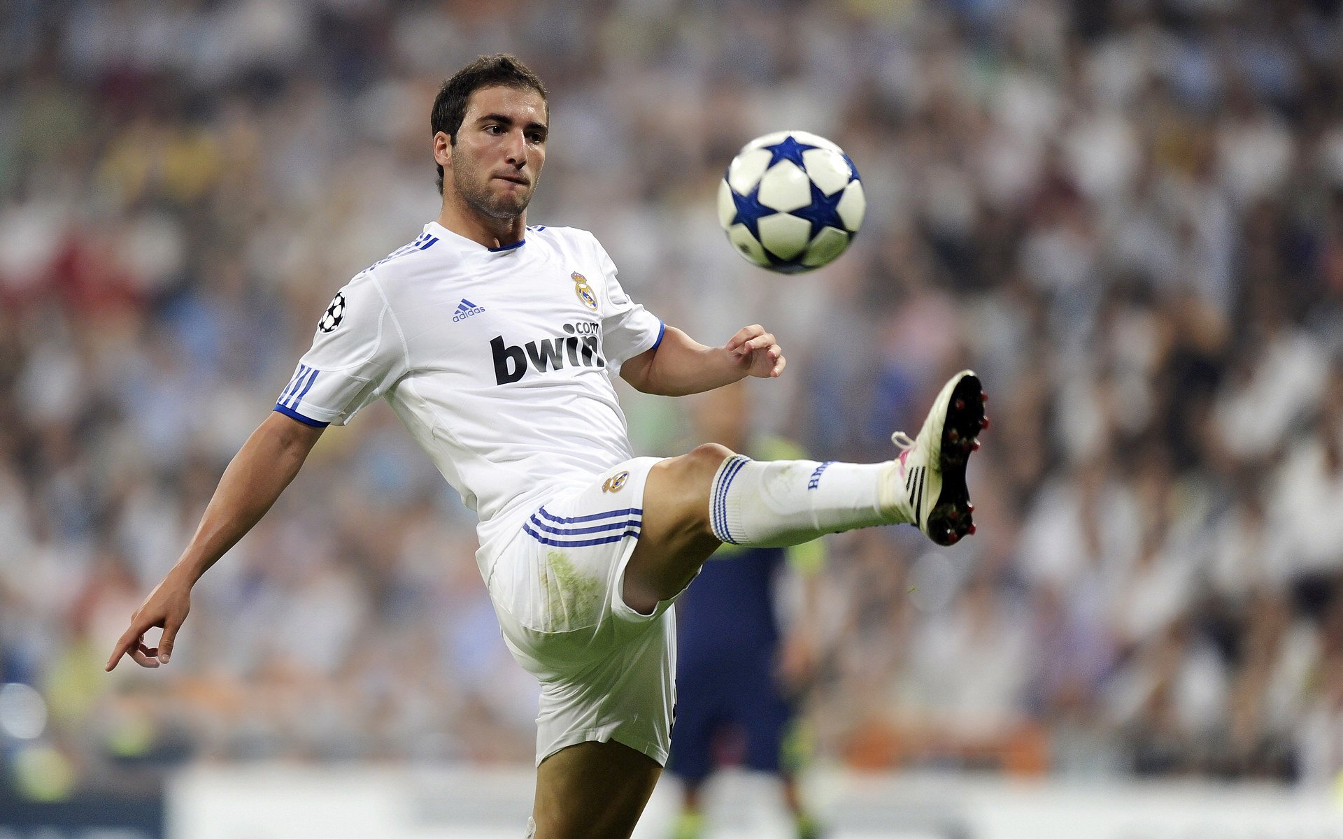 德甲联赛球迷参与度提升策略,德甲有观众